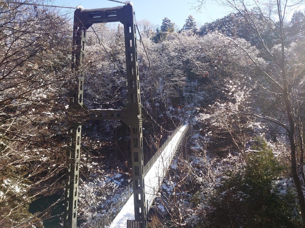 天龍峡　雪のつつじ橋　