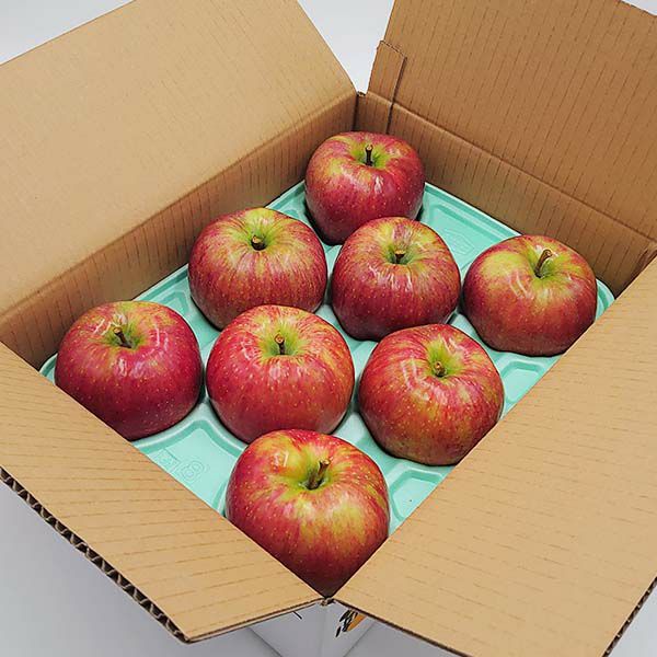 ご注文はお早めに。信州の夏リンゴ シナノリップをお見逃しなく！