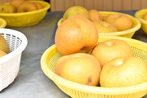 幸水梨の美味しい選び方と保存方法