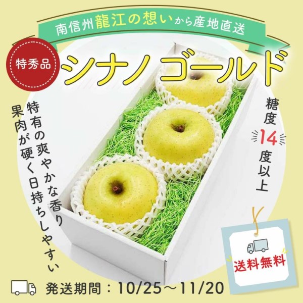 【糖度保証14度】りんご　シナノゴールド　特秀品　3玉
