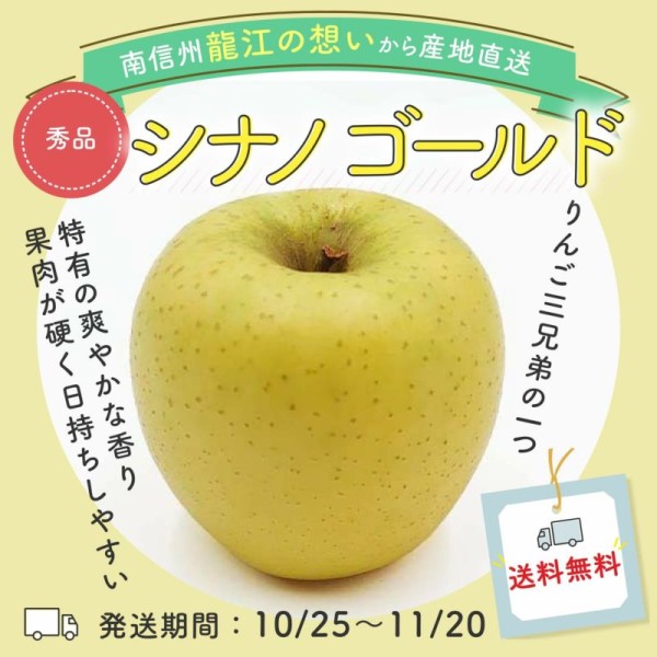 りんご　シナノゴールド　秀品　3kg（7～10玉）