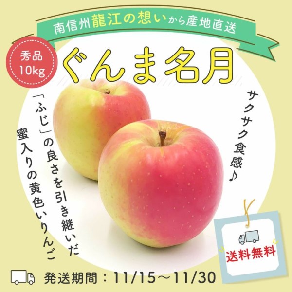 りんご ぐんま名月 秀 10kg（22～36玉）