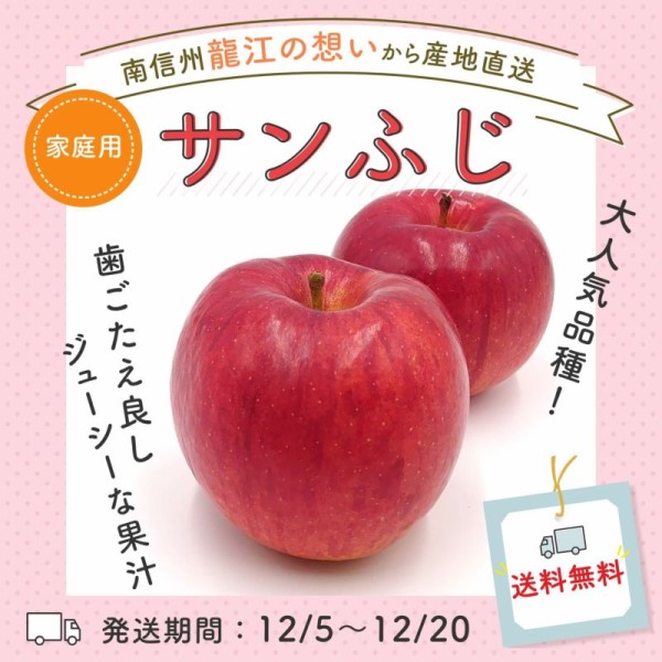 りんご：サンふじ 家庭用5kg（10~20玉）