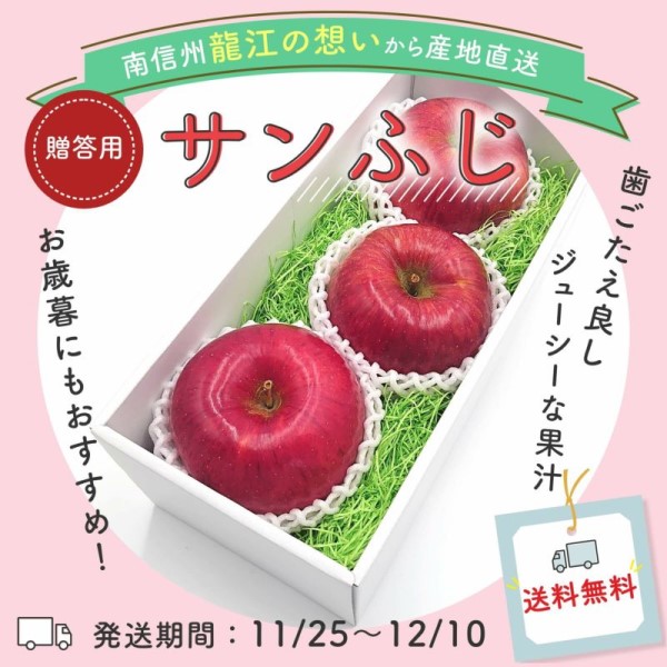 【糖度15度以上】りんご：サンふじ 贈答用3玉