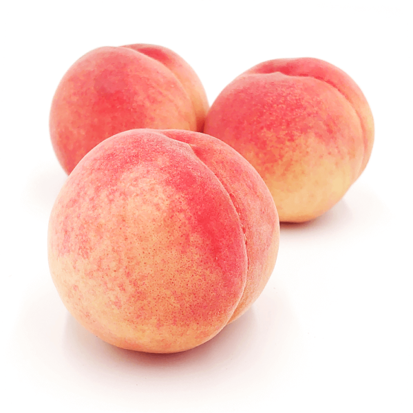 皮ごと食べられるCOCORO FARMの桃は5月から販売開始