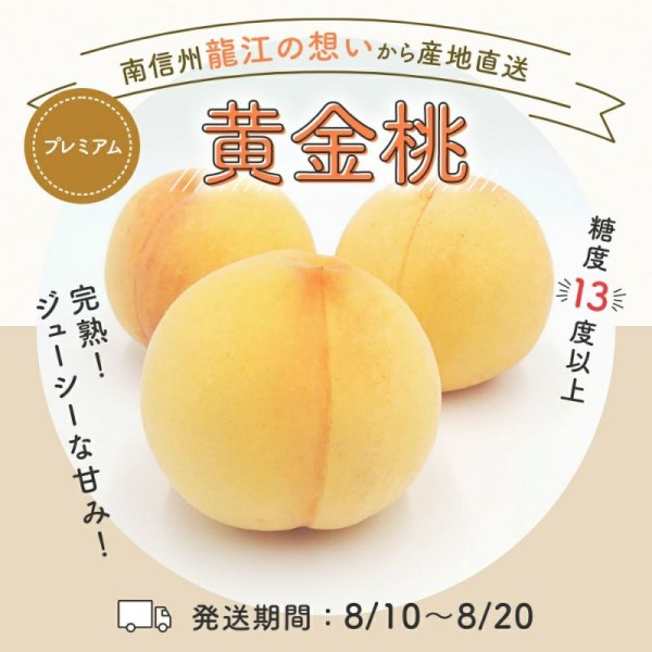 桃　黄金桃5玉ギフト　糖度保証