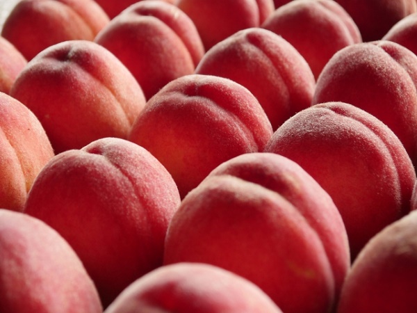 桃はまるごと食べてOK！皮に含まれる栄養素と嬉しい効果