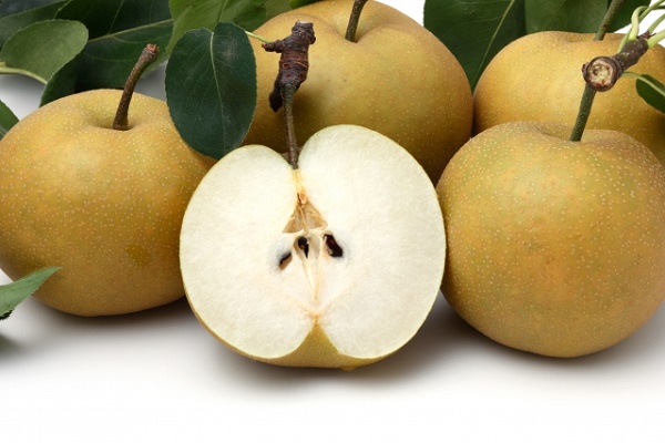 梨の種類は大きく3つ！品種一覧と今が旬の絶品梨を紹介