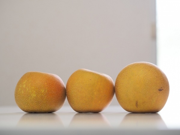 梨の種類は大きくて3つ！
