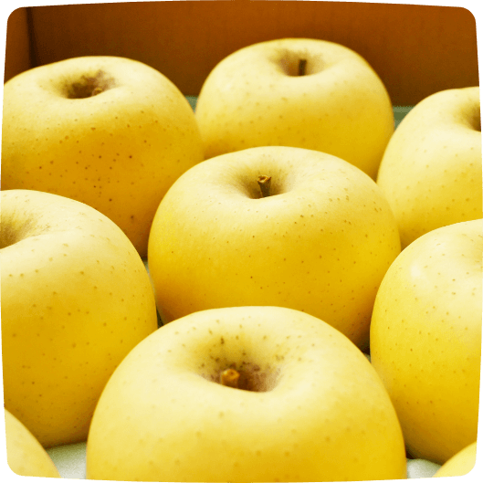 りんごは冷凍保存しよう！鮮度や味をキープできる冷凍・解凍方法を紹介します