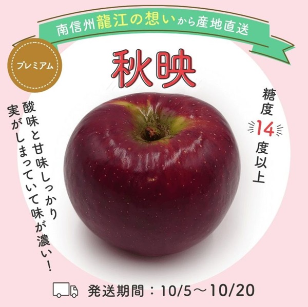 長野県産 りんご秋映 あきばえ プレミアム 約3キロ（6～10玉）
