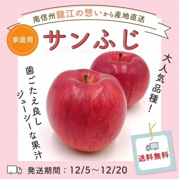 長野県産 りんご サンふじ 秀 家庭用（約5kg/約10kg）