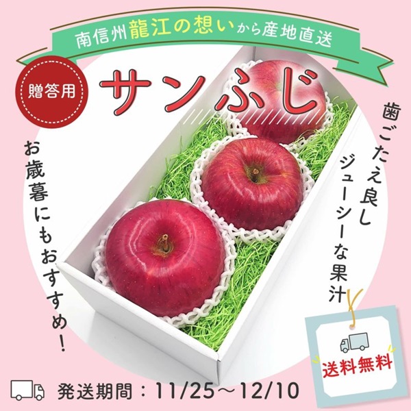 【糖度光センサー15度以上保証】長野県産 りんご 蜜入り サンふじ 贈答用（3玉/4～6玉）