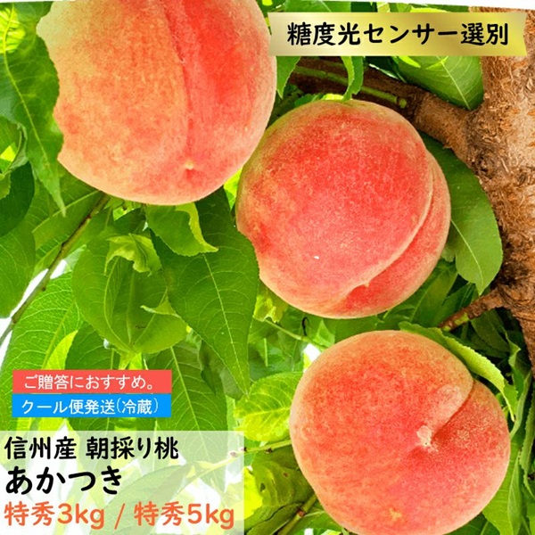 長野県産 桃 あかつき 特秀 約3キロ / 約5キロ ギフト 贈答