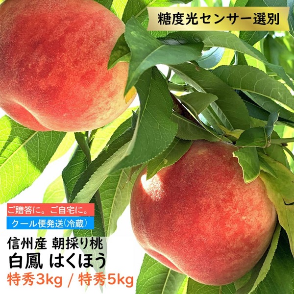 長野県産 桃 白鳳 特秀 約3キロ / 約5キロ 贈答 ギフト用