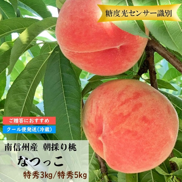 長野県産 桃 なつっこ 特秀 約3キロ / 約5キロ 贈答 ギフト用