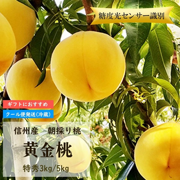 長野県産 桃 黄金桃 特秀 約3キロ / 5キロ ギフト 贈答