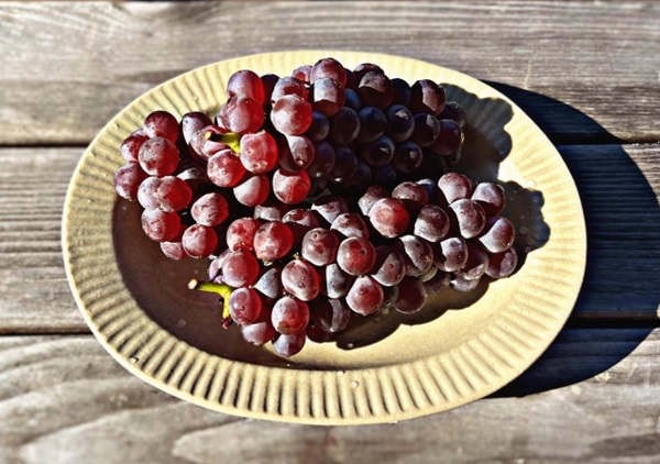 小粒ぶどうの冷蔵・冷凍保存方法