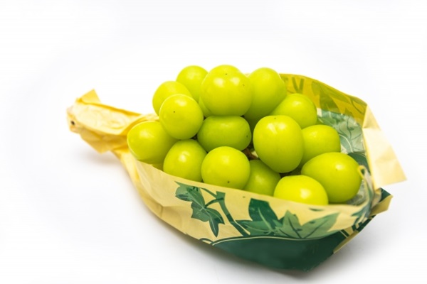 ぶどうの保存方法は冷蔵が基本