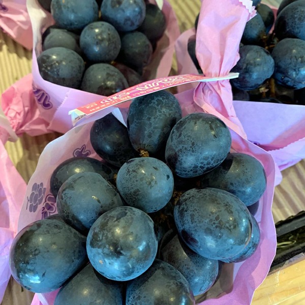 通販で美味しいぶどうを買うならCOCORO FARM