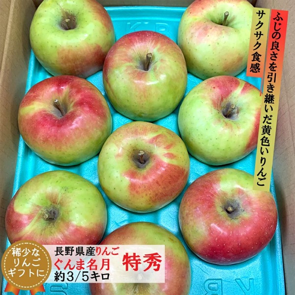 長野県産 りんご ぐんま名月 特秀　約3キロ（6～10玉）/ 約5キロ（10～18玉）