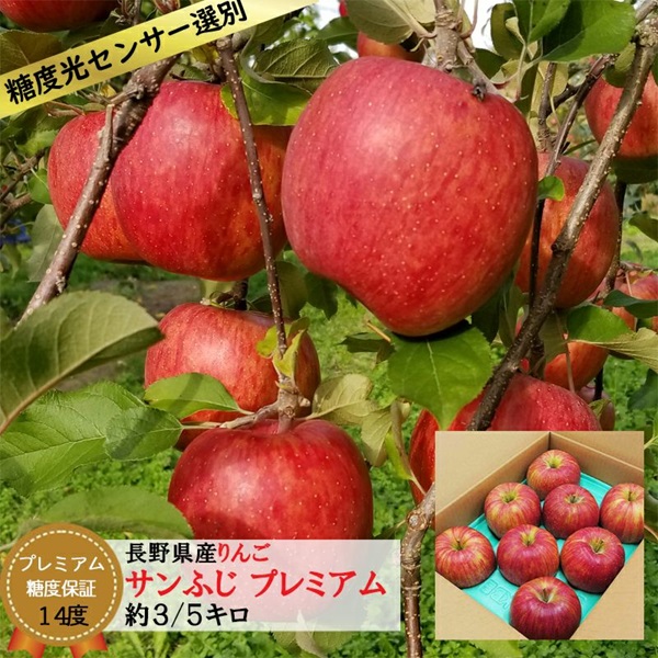 長野県産 りんご サンふじ プレミアム ギフト 約3キロ（6-10玉）/約5キロ（10-16玉）