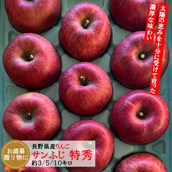 長野県産 りんご サンふじ 特秀