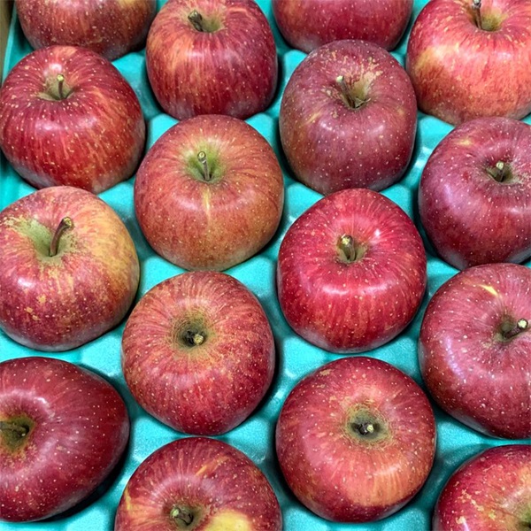 サンふじりんごの購入は産地直送の通販がおすすめ