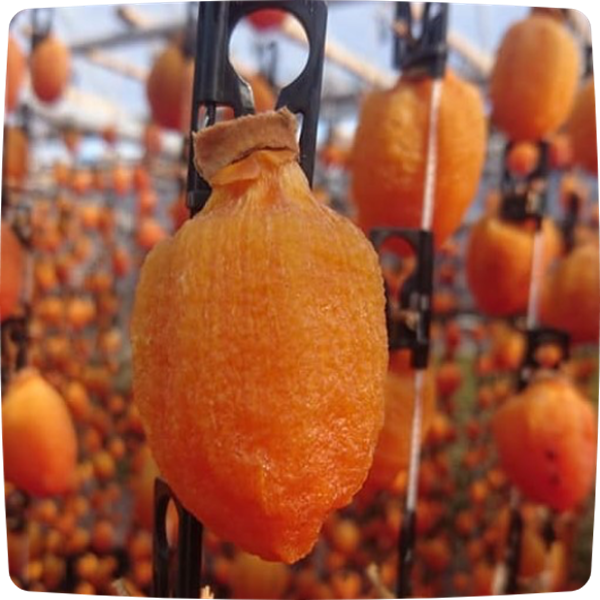 冬の風物詩「干し柿」