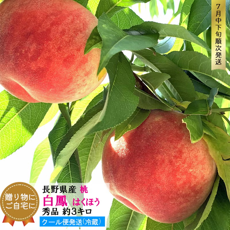 長野県産 桃 白鳳 贈答用 秀品 約3キロ
（5-9玉）