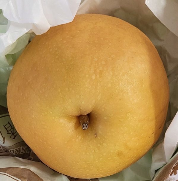 梨は皮ごと食べてOK！うれしい栄養素がたくさん