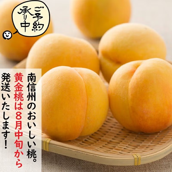 COCORO FARMの黄金桃は濃厚な甘さと香りが魅力