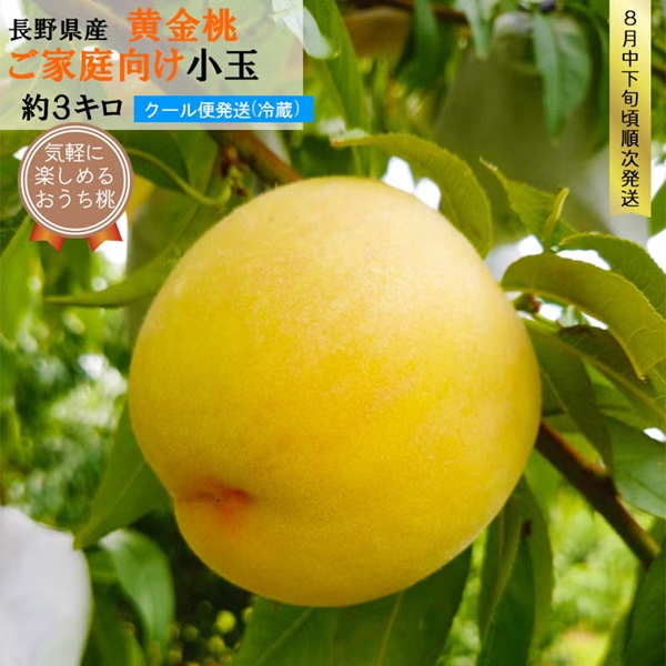 長野県産 桃 黄金桃 小玉 約3キロ 自宅用（10-12玉）