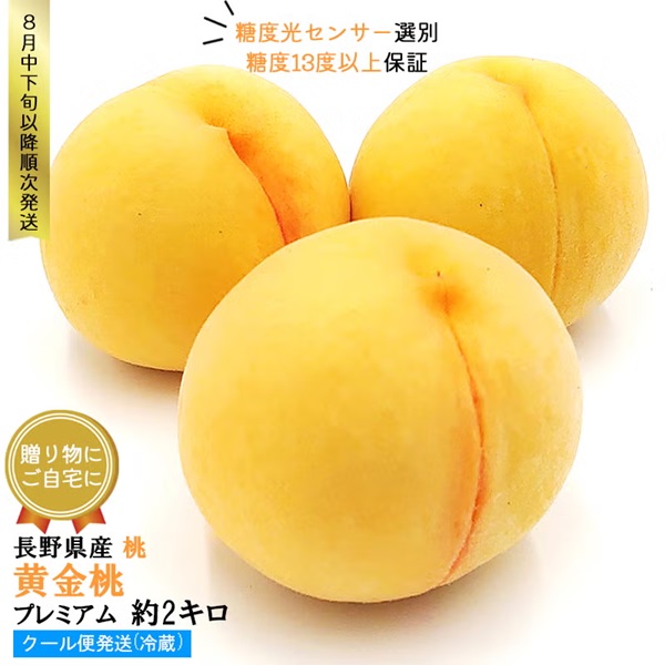 長野県産 桃 黄金桃 プレミアム 約2キロ（4～7玉）
