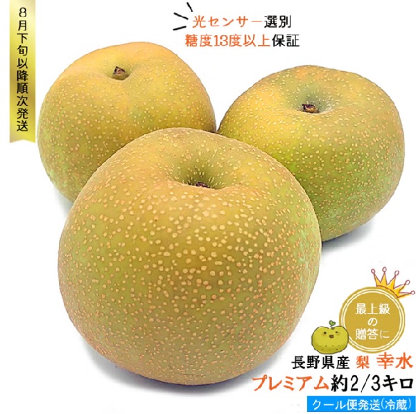 長野県産 梨 幸水 プレミアム ギフト 2キロ（4-7玉） / 3キロ（6-9玉）