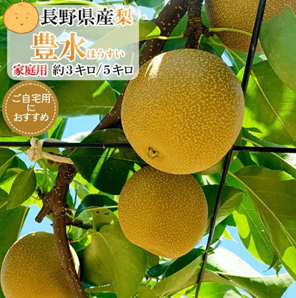 長野県産梨 豊水 家庭用 約3キロ 5キロ 小玉