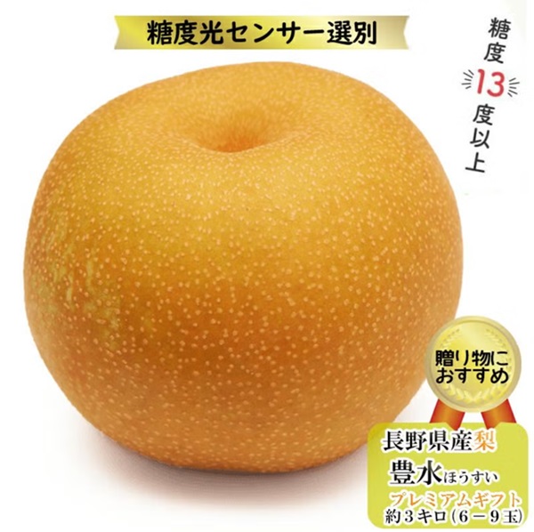 長野県産 梨 豊水 プレミアム 約3キロ ギフト 贈答用（7-9玉）