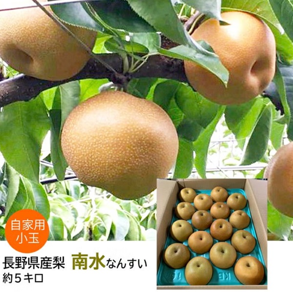 長野県産梨 南水 家庭用小玉 キズ 約5キロ（14～20玉）