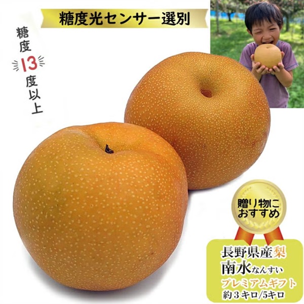 長野県産 梨 南水 プレミアム 約3キロ（6～9玉）/ 約5キロ(10～15玉）