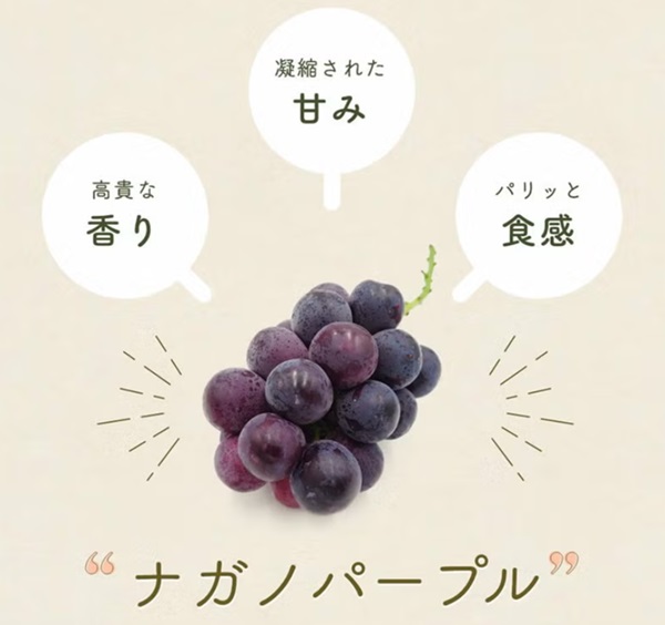 種が無く皮も食べられる！長野で誕生したナガノパープル