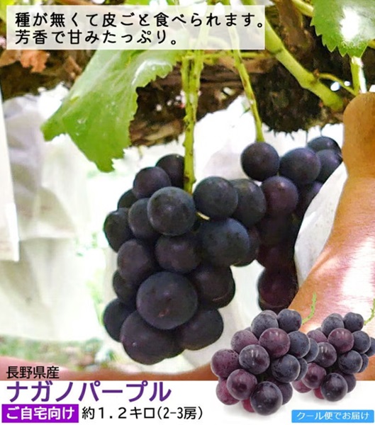 ぶどう ナガノパープル ご家庭向け 1kg