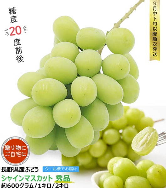 信州産 ぶどう シャインマスカット秀品 600グラム(1房) / 1キロ(2房) / 2キロ(3-4房)