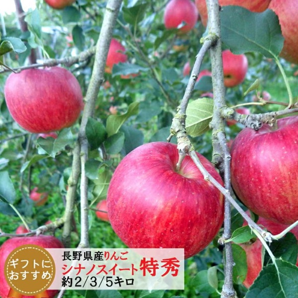 長野県産 りんご シナノスイート 特秀 約3キロ（6-10玉）/ 約5キロ（10-18玉）