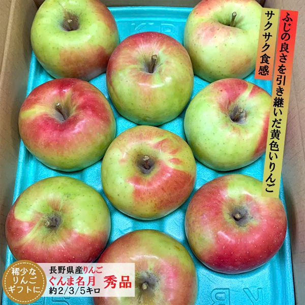長野県産 りんご ぐんま名月 贈答 秀品 約2キロ（4-7玉）/ 約3キロ（6-10玉）/ 約5キロ（10-18玉）